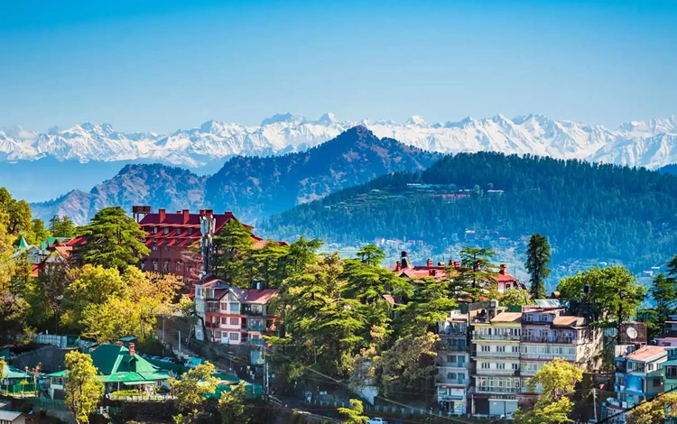  Shimla Trip 
